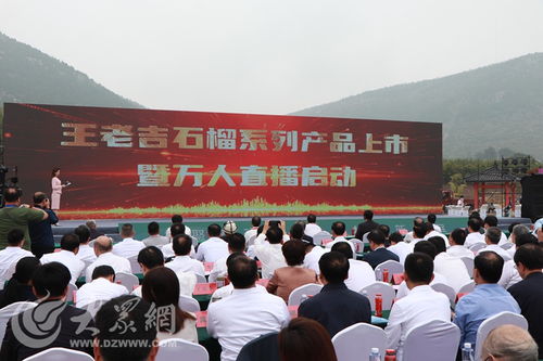 榴聚新動能 2023石榴產業發展大會在棗莊開幕，共繪產業與文化交融新藍圖